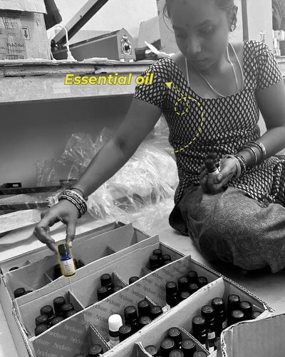 562037483_18051755552642033_1390566223770563121_n-3 (1).webp